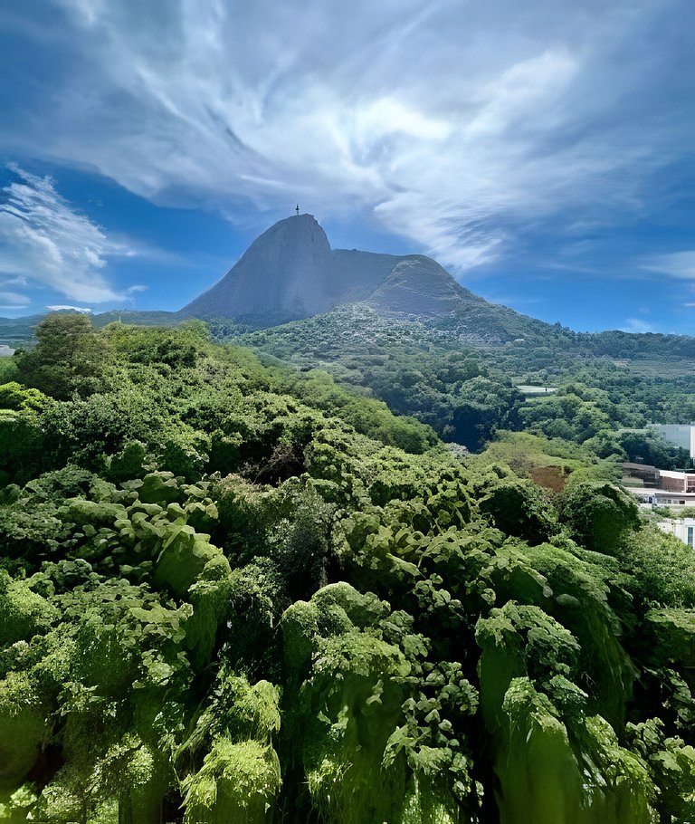 Apartamento de 2 quartos com vista para o Cristo